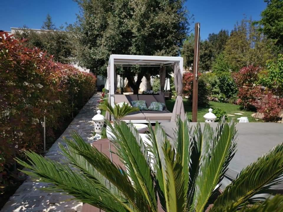Apulia Dream B&B Le Lamie di Olimpe Esterno foto